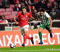 开云官网-关于赛地聚焦：葡超集结日热度飙升，夏洛特黄蜂强势反弹，引发热议，控场能力受关注的信息